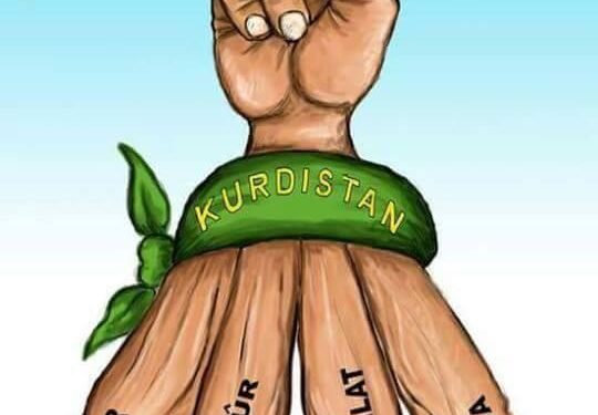 Dijmin Yekîtiyê naxwaze