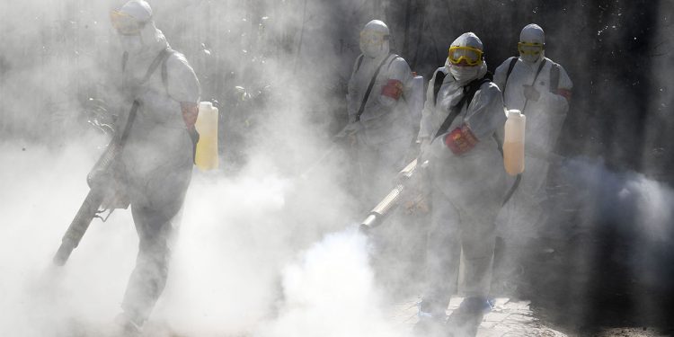 Hejmara kesên bi vîrûsa korona mirine 252 hezar derbas kir