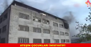 Însyatîfa Zarokên Agir li Enqere û Stenbolê çalakî kirin