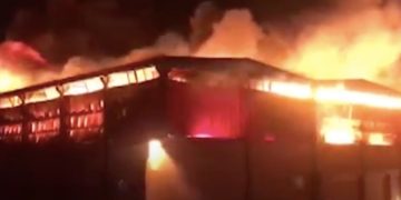 Însyatîfa Zarokên Agir rêze çalakî kirin