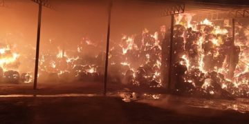 Yekîneya Tolhildanê ya Şehîd Zîlan a YPS-Jinê li 3 bajaran çalakî kir