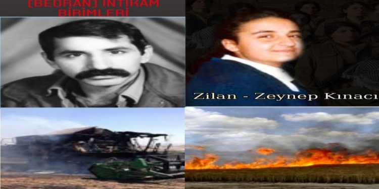 Yekîneya Tolhildanê ya Şehîd Mehmet Sevgat li Konyayê çalakî li dar xist