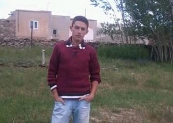 LEZGÎN – Leşkerên Tirk ên dagirker li Wanê Ciwanek qetilkirin