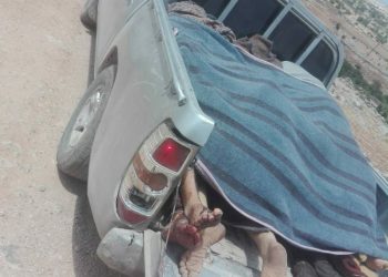 LEZGÎN – HRE: Bi dehan çete hatin kuştin