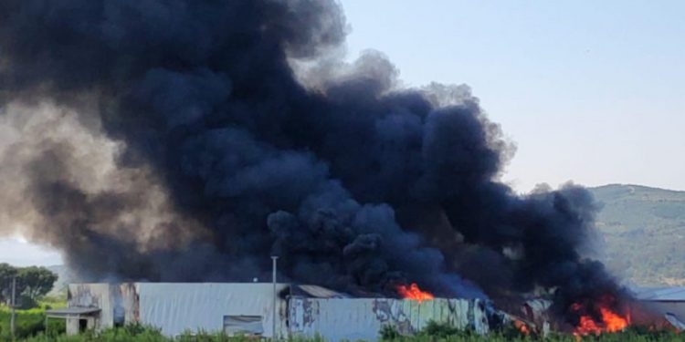 LEZGÎN – Însyatîfa Zarokên Agir li 4 bajaran çalakî kirin