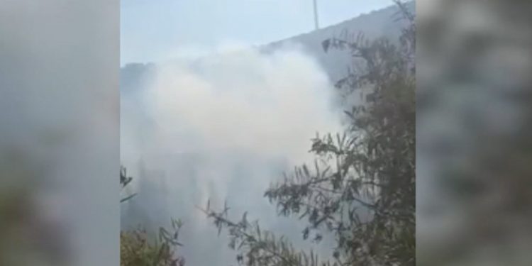 LEZGÎN – YPS’ê li Îzmîrê li dijî qada hilberîna elektrîkê çalakiyeke sabotajê kir