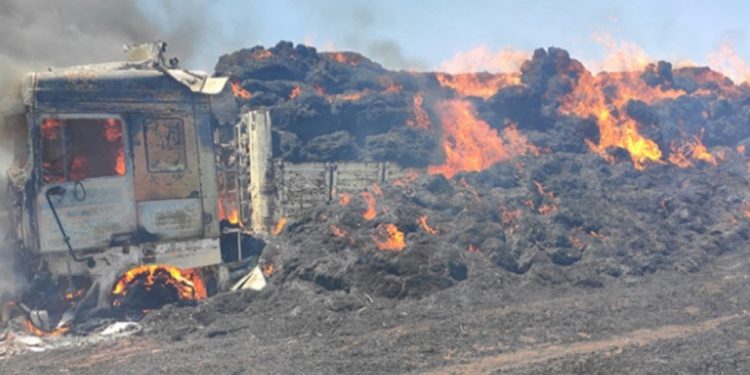 LEZGÎN – Însiyatîfa Zarokên Êgir li çar bajaran çalakî li dar xistin