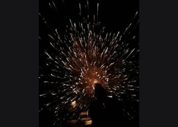 LEZGÎN – YPS’ê li dijî mal û fabrîqeya faşîstan çalakî kirin