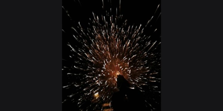 LEZGÎN – YPS’ê li dijî mal û fabrîqeya faşîstan çalakî kirin