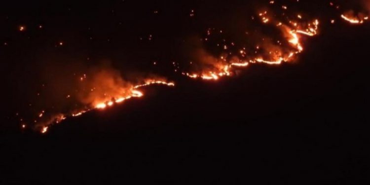 Şewata li Cûdî û Gabarê ku artêşa tirk a dagirker derxistî bû berdewam e