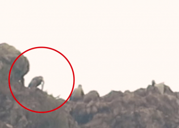 FLAŞ – Gerîla TV dîmenê çalakiya sekvaniyê ya gerîlayên HPG’ê ya li Heftanîn parve kir