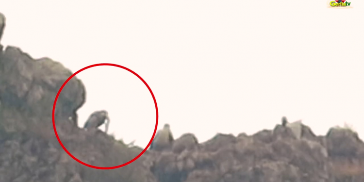 FLAŞ – Gerîla TV dîmenê çalakiya sekvaniyê ya gerîlayên HPG’ê ya li Heftanîn parve kir