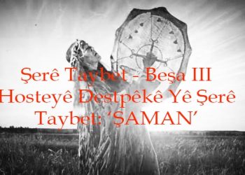 Hosteyê Destpêkê Yê Şerê Taybet: ‘ŞAMAN’