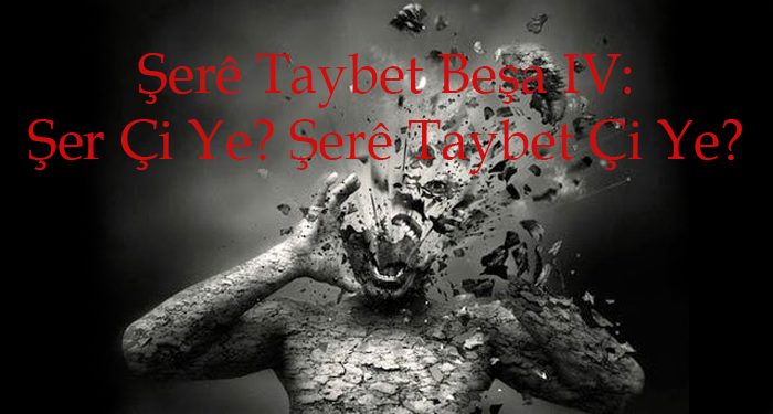 Şer Çi Ye? Şerê Taybet Çi Ye?
