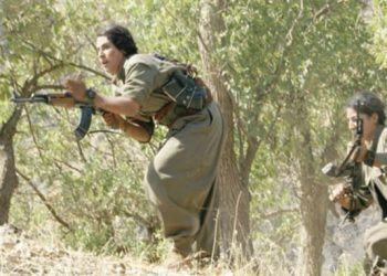 LEZGÎN – Ji HPG’ê li Heftanîn û Xakurkê çalakî: 4 dagirker hatin cezakirin, çeperek hate îmhakirin