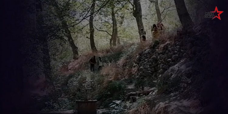 Ji bo tevlîbûna kampa Jineolojî Jinên Ciwan bang kirin