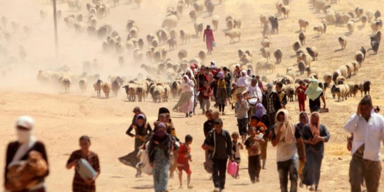 PAJK: Divê 3’ê Tebaxê weke roja qirkirina Êzidiyan û jinan bê ragihandin