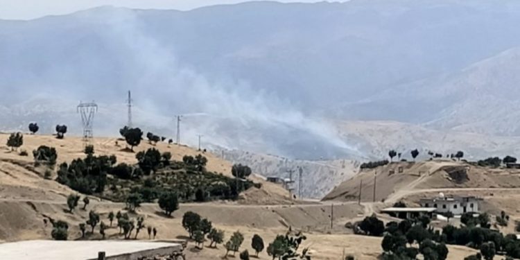 Cerdevan darên ku nikarin bibirin, dişewitînin