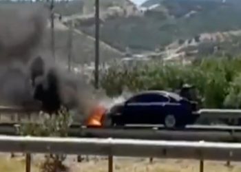 LEZGÎN – Însyatîfa Zarokên Agir: Li Antalya dikanek û li Îzmîrê 5 wesayît şewitandin