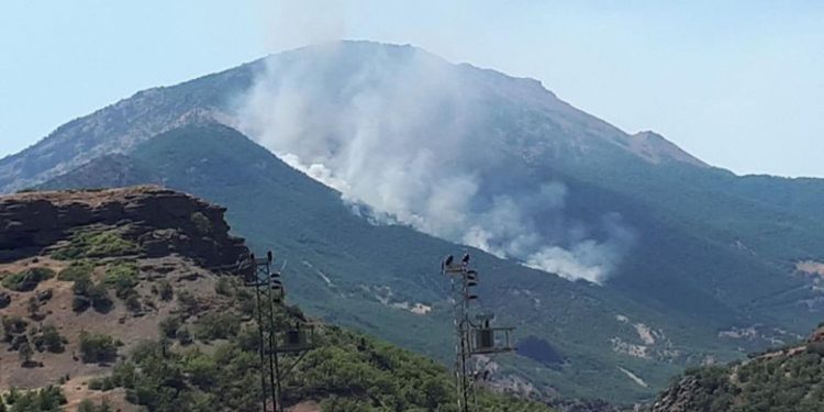 HPG: Dagirkeran li Dersimê bax û baxçe texrîb kirin
