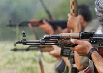 LEZGÎN – Ji Gerîlla li Heftanîn, Colemêrg, Dersim û Agiriyê çalakî