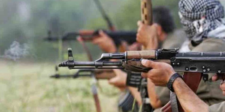 LEZGÎN – Ji Gerîlla li Heftanîn, Colemêrg, Dersim û Agiriyê çalakî