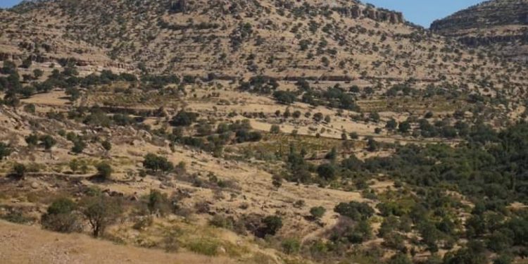 Şerê li Şêbê yê Navçeya Şemrexê didome