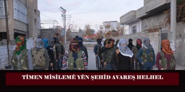 LEZGÎN – Tîmên Bersivdanê yên YPS’ê rêya Wanê kontrol kirin