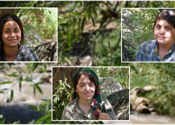 TAYBET – Jinên Ciwan ên tevlî nava refên PKK’ê bûn: Dem dema Întîqamê ye!