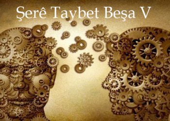 Asta Pratîkkirina Şerê Taybet!