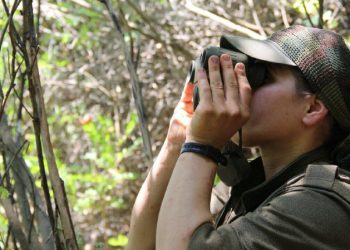 TAYBET – Bi Wêneyan Berxwedana Cenga Heftanînê