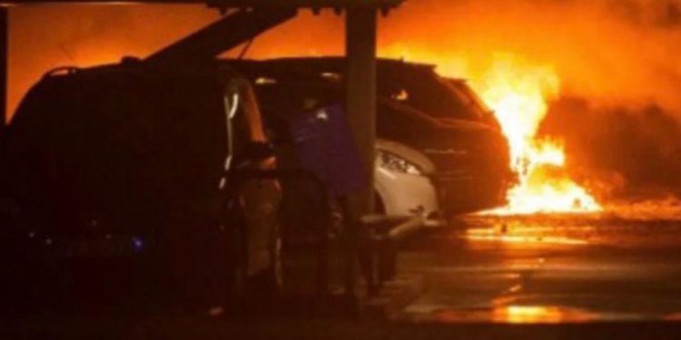 LEZGÎN – Yekîneyên Tolhildanê ji bo piştgiriya hemleya KCK’ê li 7 bajaran çalakî kir