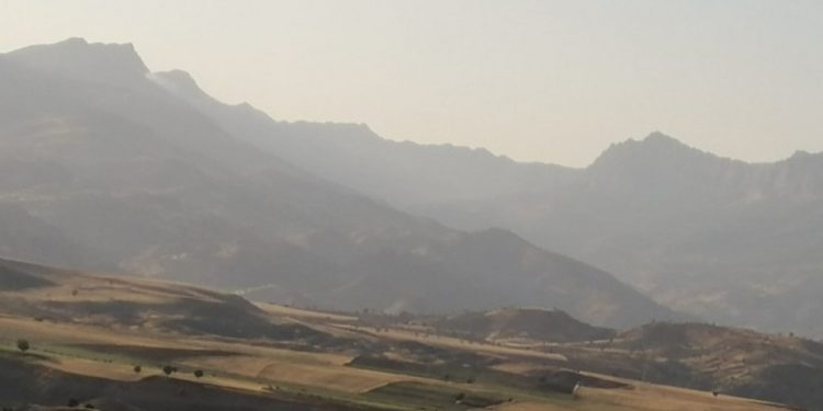 Şewata li Çiyayê Gabarê didome