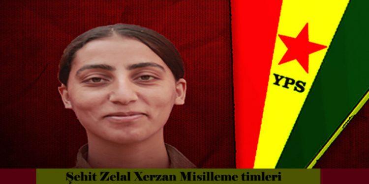 LEZGÎN – Ji YPS-JIN ji bo pêngava Tolhildanê çalakî