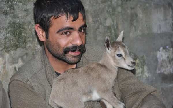 HPG’ê nasnameya 2 Gerîlayên li Bestayê Şehîd bûbûn eşkere kir