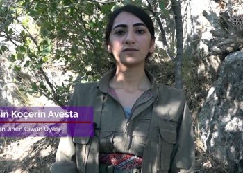 TAYBET – Dorşin Koçerin Avesta: Komploya Navnetewî li dijî tevahî gelê cîhanê ye