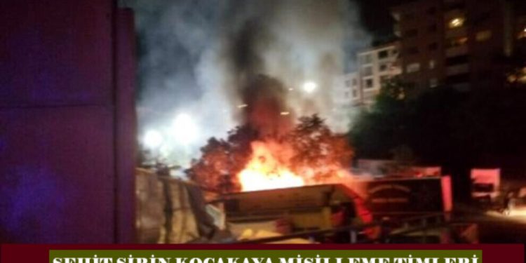 LEZGÎN – Ji YPS’ê li dijî faşîstan li Stenbolê çalakî