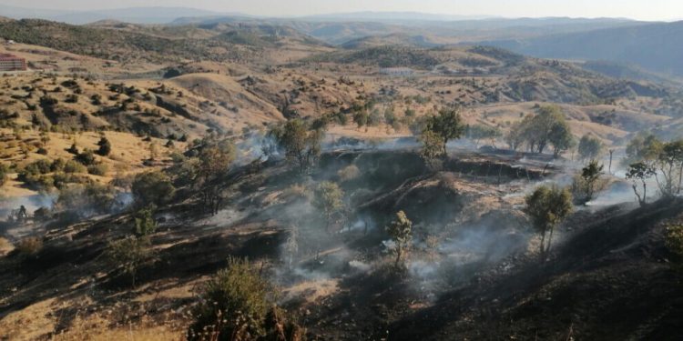 Şewata ku ji ber leşkerên dagirker dest pê kir, dewam dike
