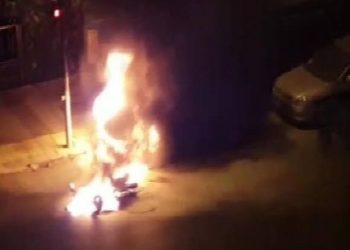 LEZGÎN – Ji Yekîneyên Tolhildanê li dijî qeyûm û firoşkarên narkotîkê çalakî