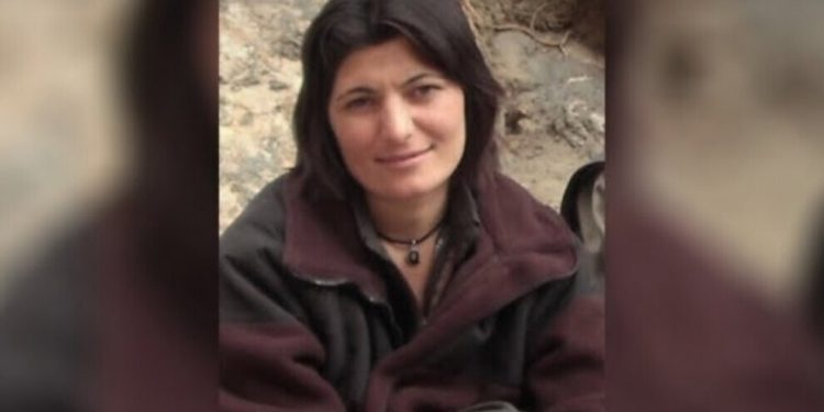 Zeynep Celaliyan birin cihekî nediyar!