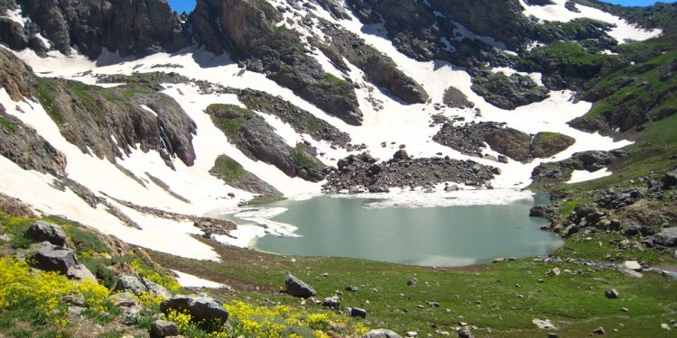 Ji Pênûsa Gerîla: Şewqa Çiyayan