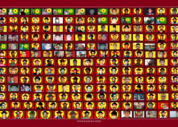 Derewên TC û PDK’ê û şehîdên Başûrî