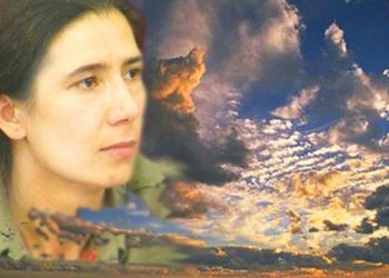 Şoreşgeriya demên krîtîk