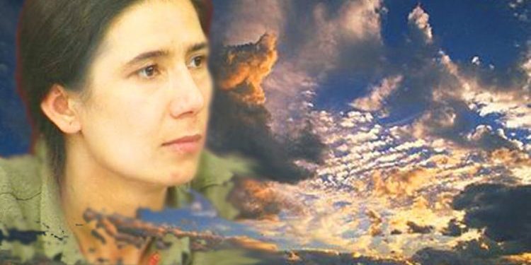 Şoreşgeriya demên krîtîk