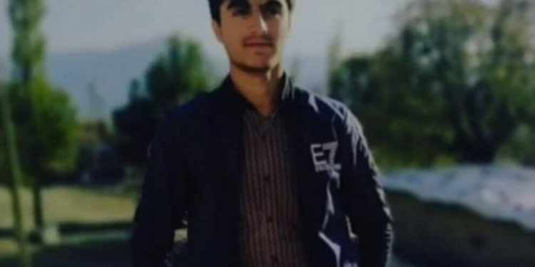 Leşkerên dagirker ciwanek qetilkirin!