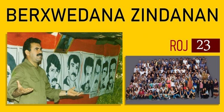 Greva birçîbûnê û zextên dewleta tirk