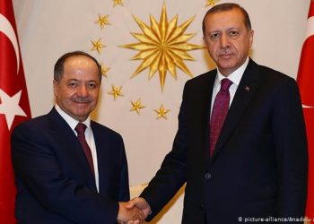 Plana Iraq, Tirkiye û PDK’ê