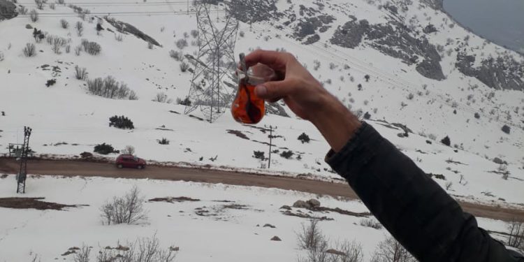 TAYBET – BERF BARÎ Lİ SER ÇIYAYÊN LICÊ’YA BERXWEDÊR