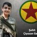 HPG: ‘Sekna milîtaniya Apoyî a hevrê Çiyazan ji Ciwanên Kurdistanê re rê nîşan dide’