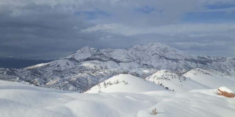 TAYBET – BERF BARÎ Lİ SER ÇIYAYÊN LICÊ’YA BERXWEDÊR